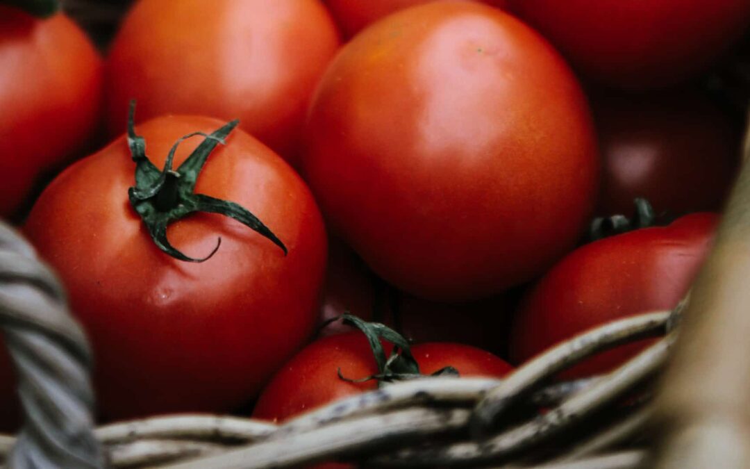 Sostenibilidad a Medida participa en el programa GreenSME