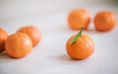 Fotobiología y su aplicación en el sector hortícola: una innovación sostenible