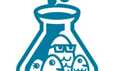Cinco ejes del compromiso con la sostenibilidad en No Sin Música